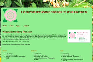 The spring promotion page for small businesses